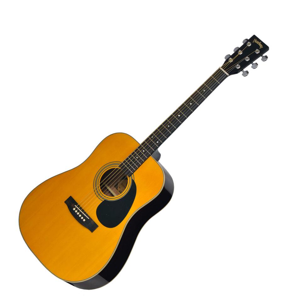 Headway HD-45S ANA <ヘッドウェイ>|平野楽器 ロッキン オンラインストア