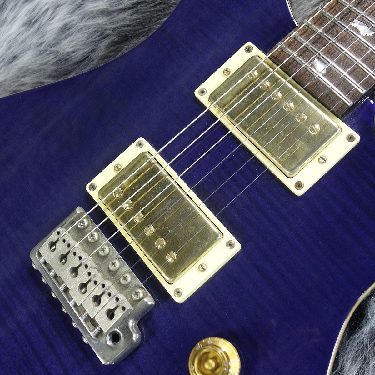 Paul Reed Smith SE Custom24 Flat Top <ポールリードスミス