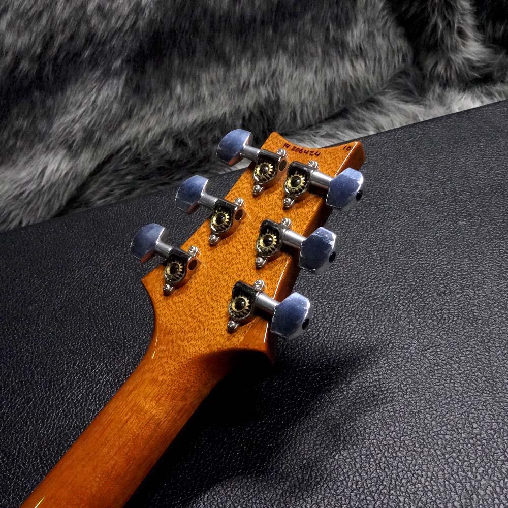 Paul Reed Smith Custom 22 10Top Violet <ポールリードスミス>｜平野