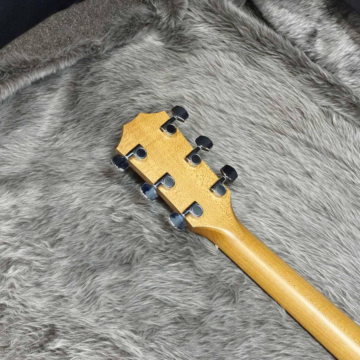 Taylor Academy 12e <テイラー>｜平野楽器 ロッキン オンライン