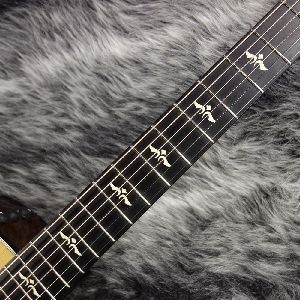 Taylor 614ce <テイラー>｜平野楽器 ロッキン オンラインストア