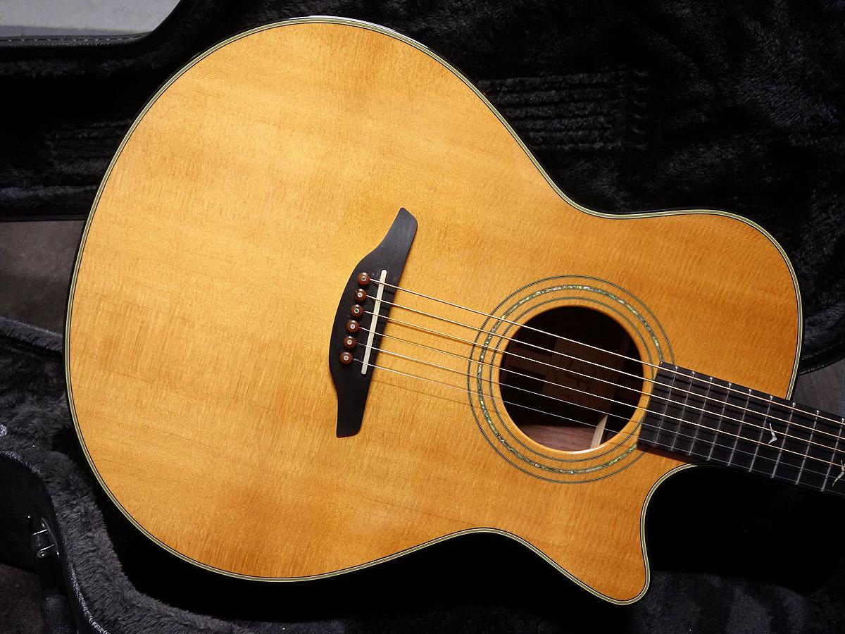 Furch Guitars G23-SRCT PalavaHills <フォルヒギター>｜平野