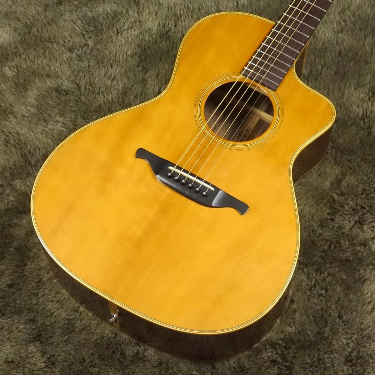 Vg Vg 00fx ブイジー平野楽器 ロッキン オンラインストア
