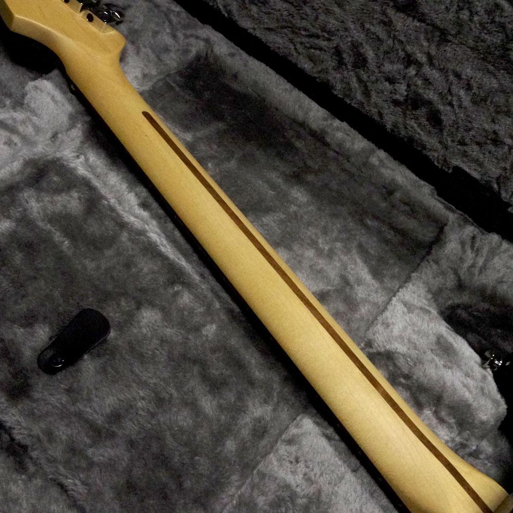 Fender American Professional Stratocaster HH Shawbucker