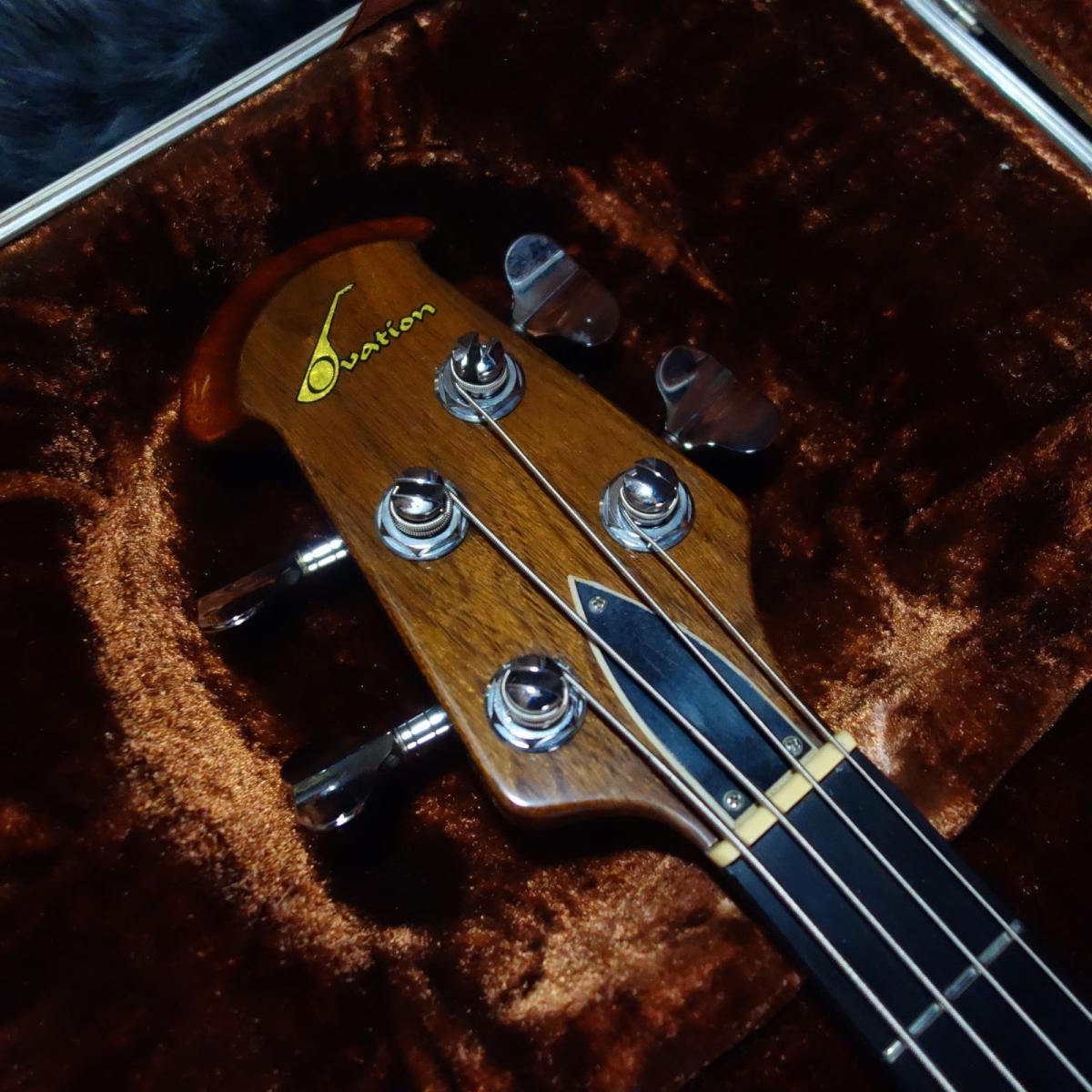 Ovation Magnum Bass I 1978 <オベーション>｜平野楽器 ロッキン