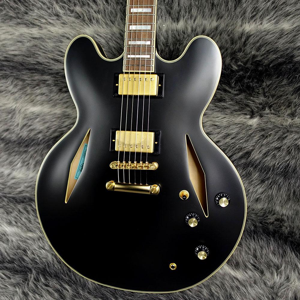 Epiphone Emily Wolfe Sheraton Stealth Black Aged Gloss