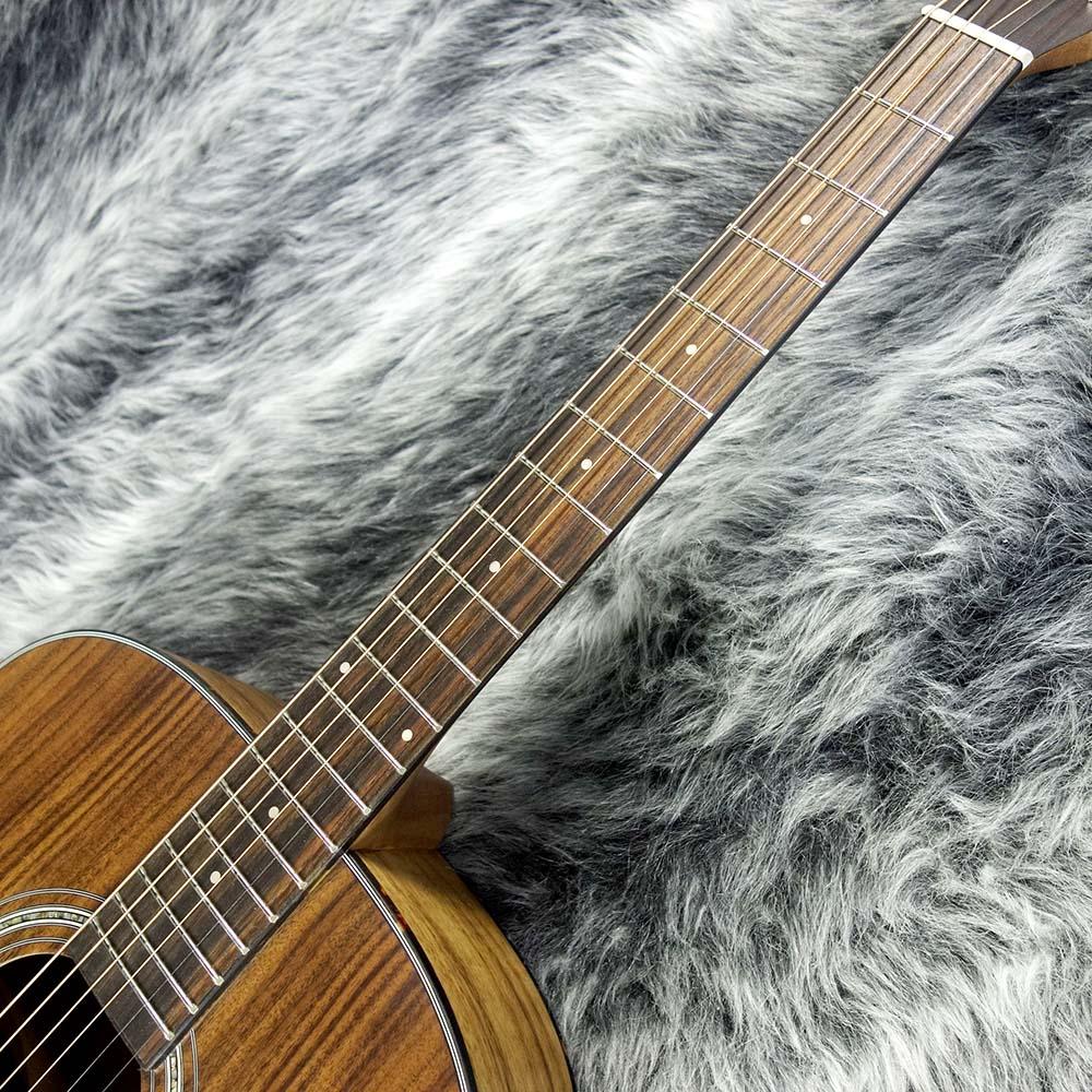 トーカイ　Cat's Eyes CE55T　アコースティックギター トーカイ Cat's Eyes CE55T アコースティックギター Amazon.co.jp