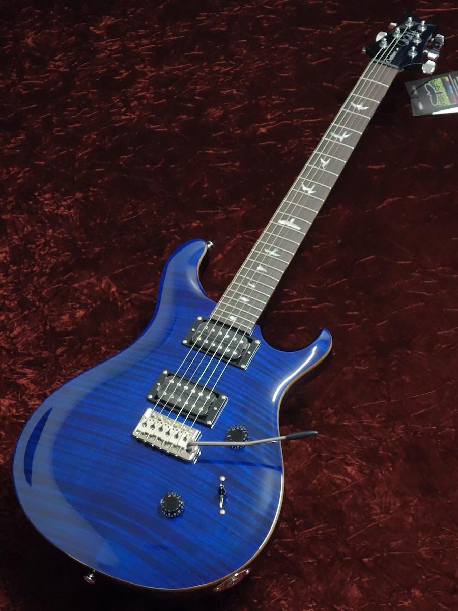 SE Custom24 Whale Blue