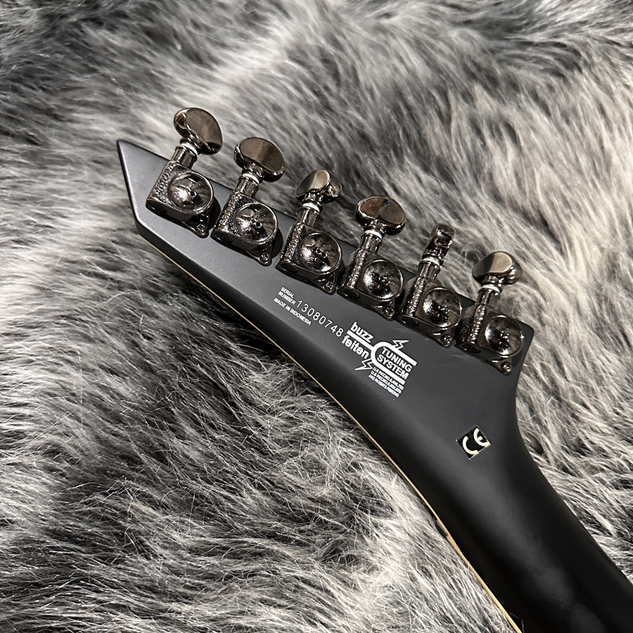 Washburn PXS20CE <ワッシュバーン>｜平野楽器 ロッキン