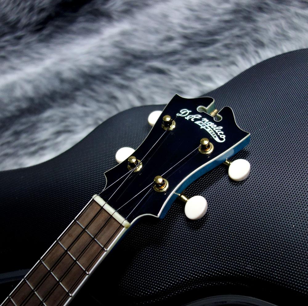 D'angelico MU-2 BLB｜平野楽器 ロッキン オンラインストア