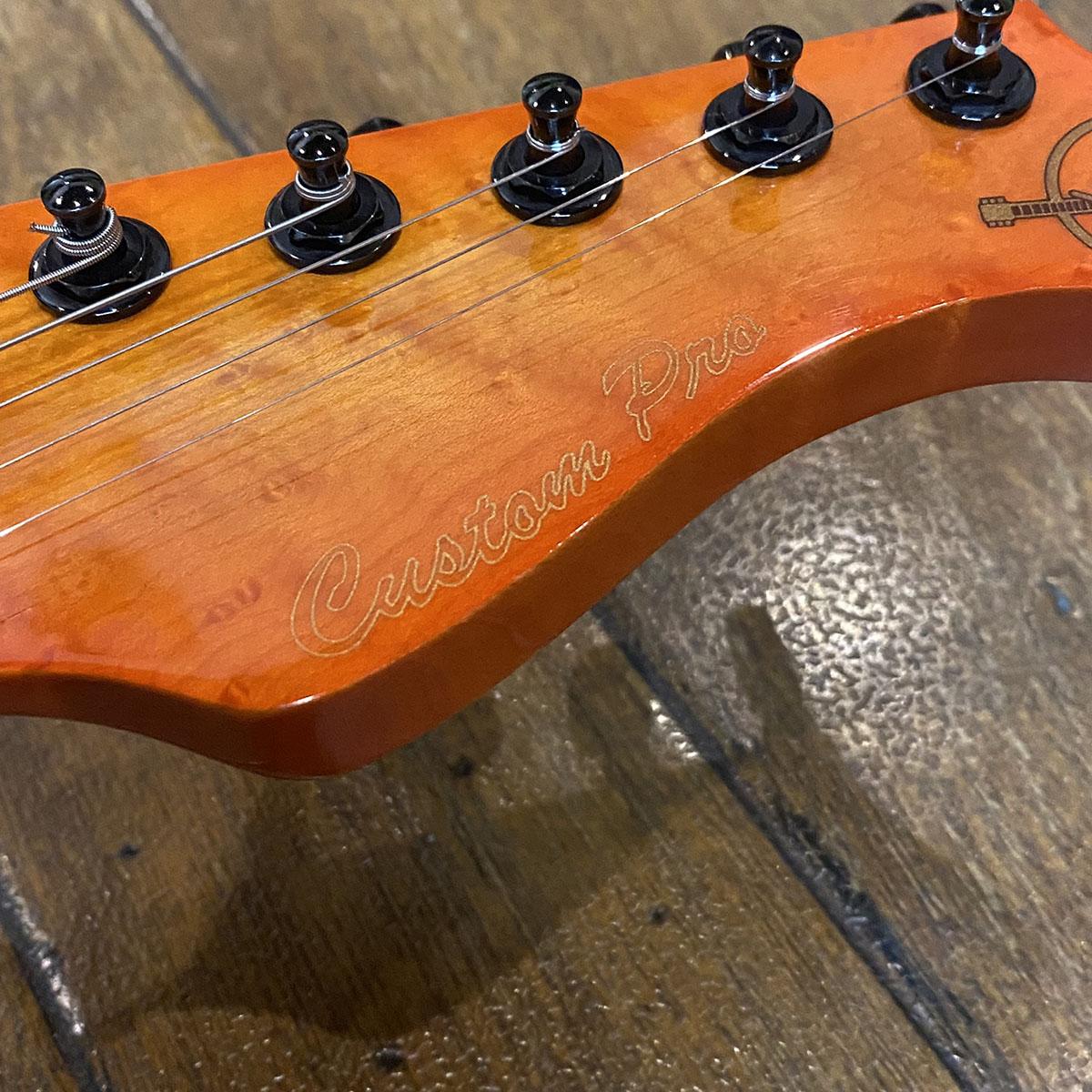 Valley Arts M Series Custom Pro <バレーアーツ>｜平野楽器