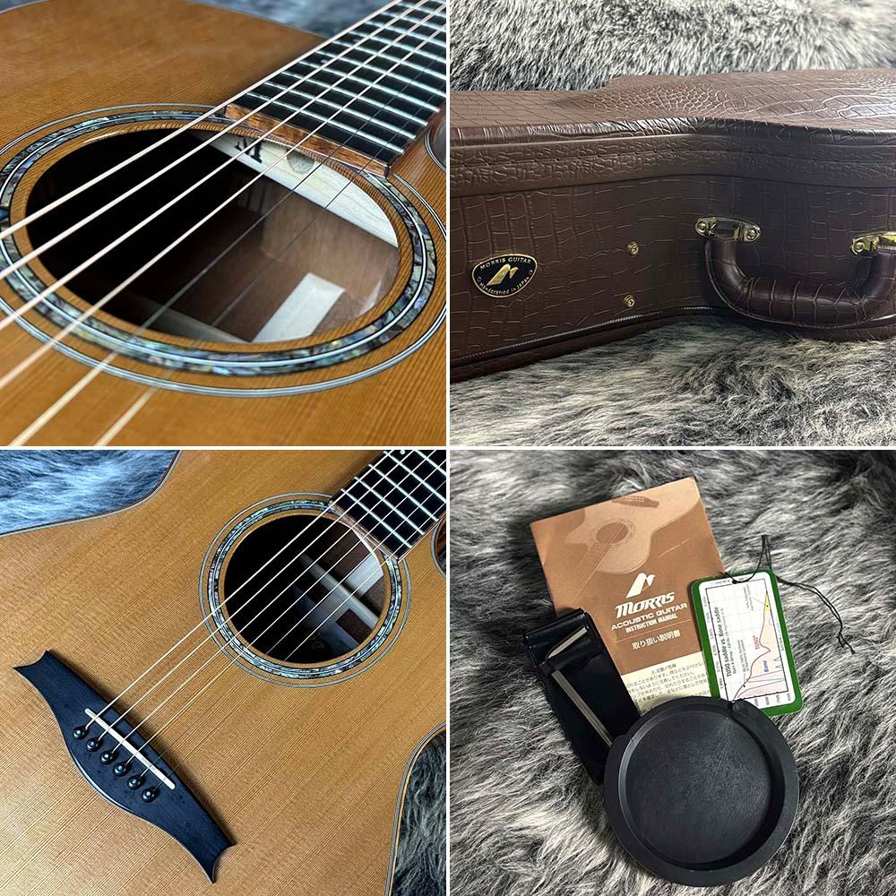 Morris S-93 <モーリス>｜平野楽器 ロッキン オンラインストア