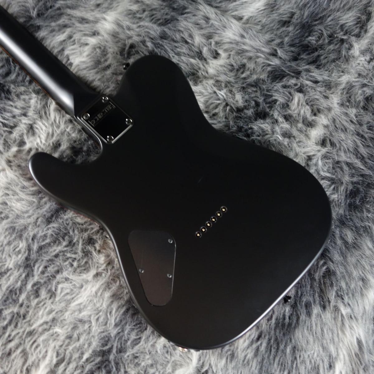 SCHECTER PA-SM/SH www.sanagustin.ac.id