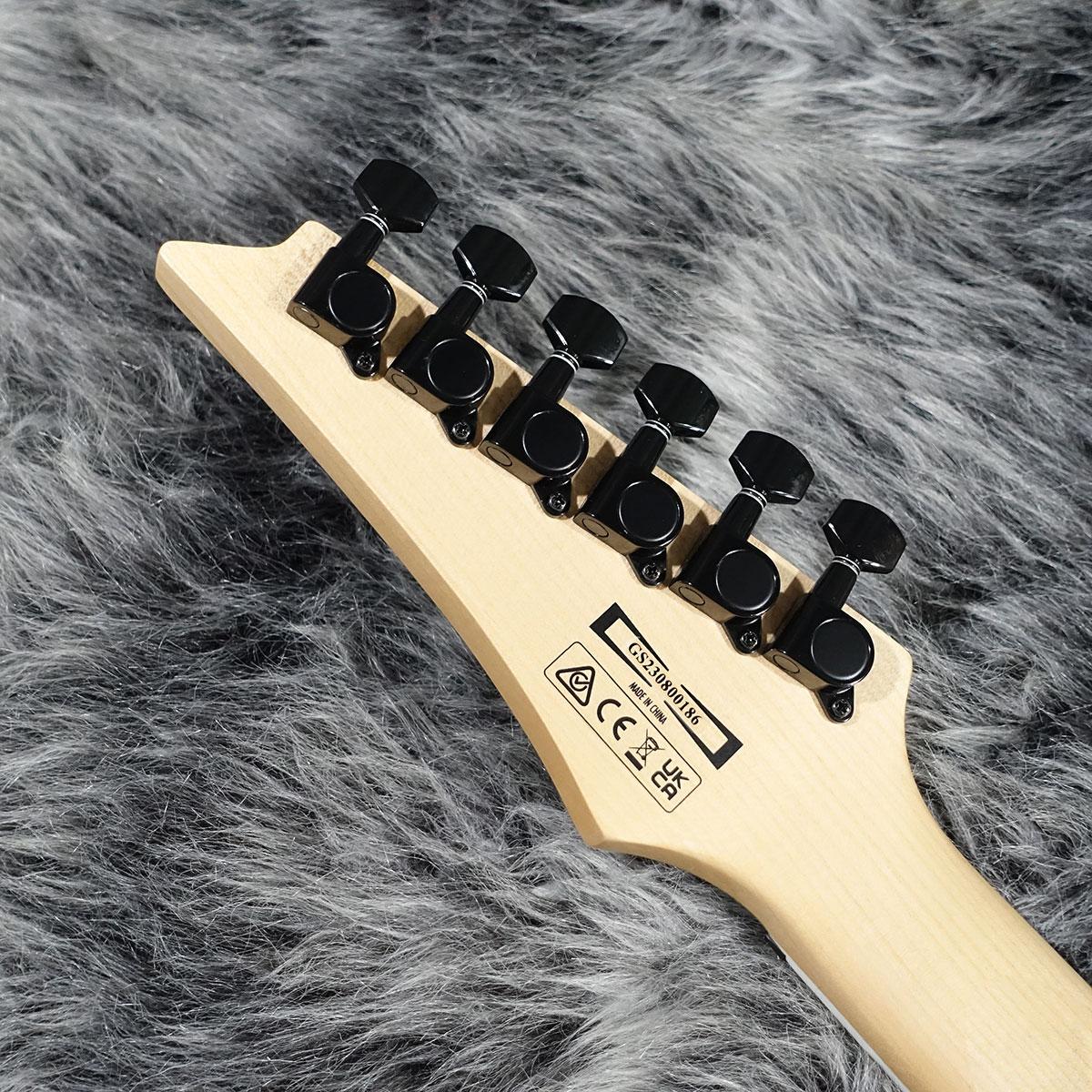 Ibanez RGV250-SV 2023 <アイバニーズ>｜平野楽器 ロッキン