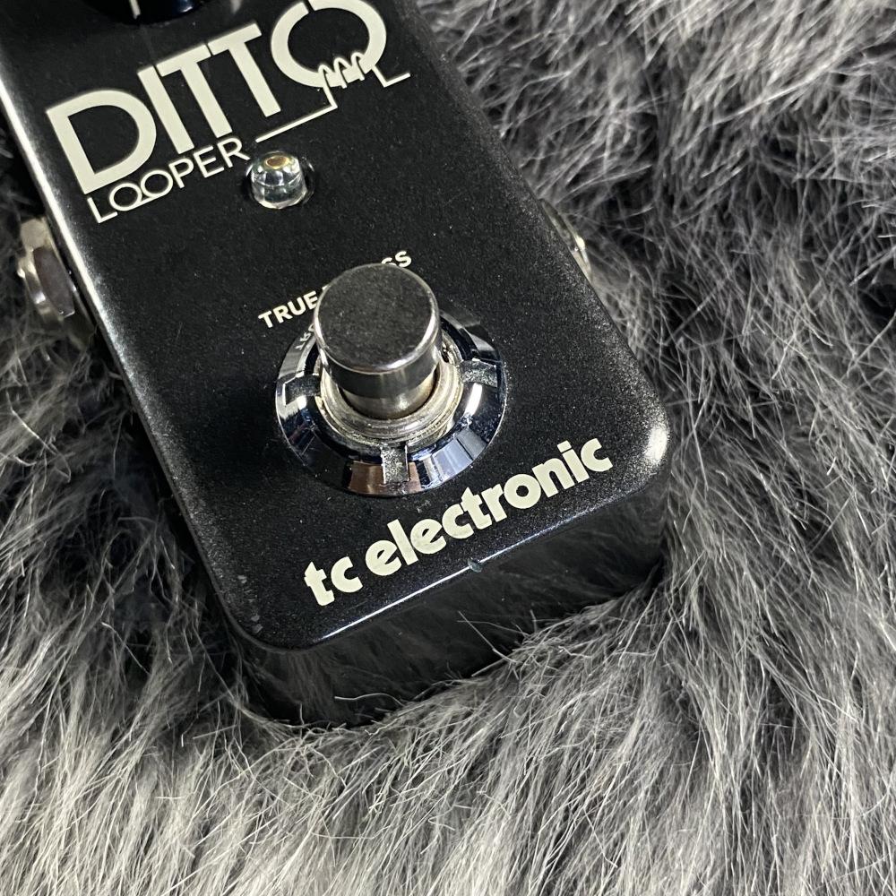 t.c. electronic DITTO LOOPER <ティーシーエレクトロニック>｜平野