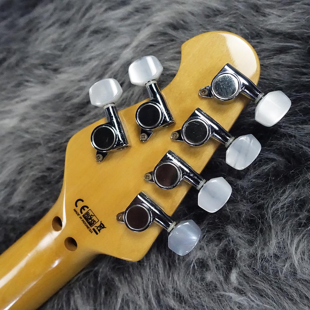Sterling by MUSIC MAN AX40 Trans Gold <スターリングバイ