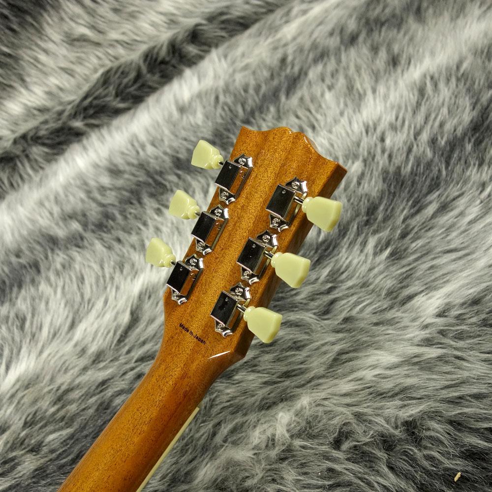 Tokai LS142Q OAK <トーカイ>｜平野楽器 ロッキン オンラインストア