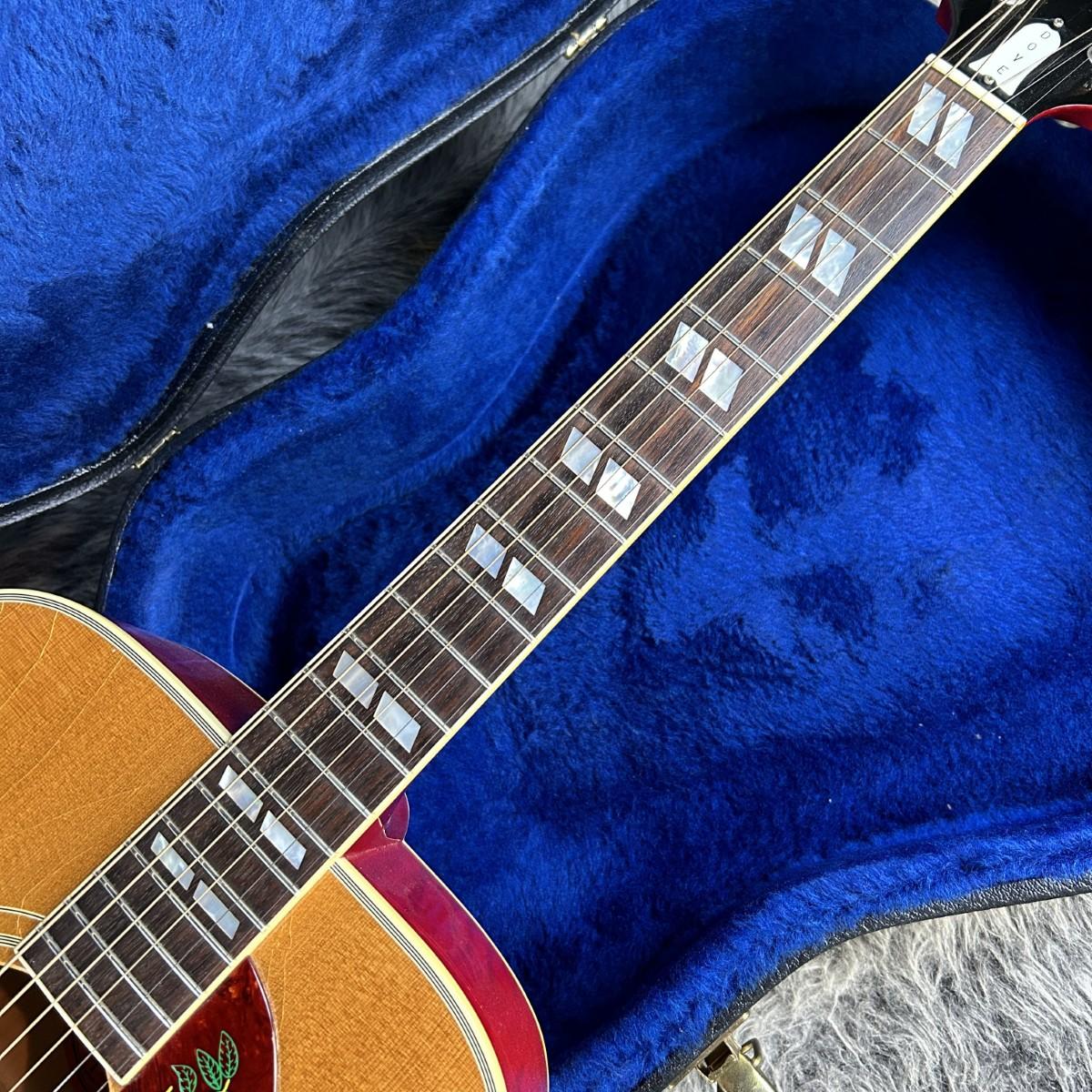 ギター Gibson 60's Dove 1964年製 Dove Natural