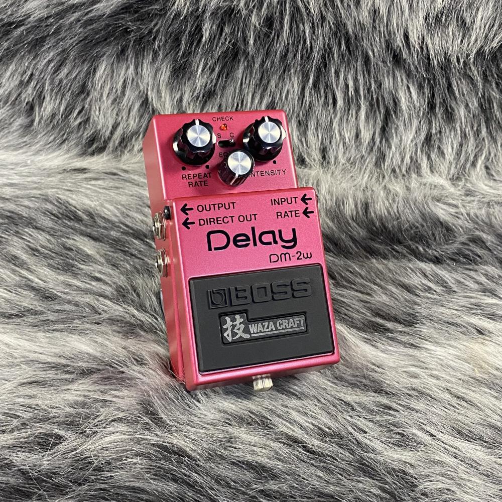 DM-2W(J) Delay 技 Waza Craft