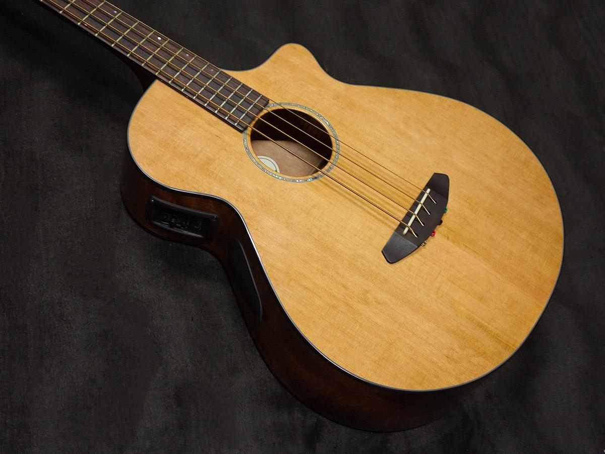 Breedlove Solo B31CE <ブリードラブ>｜平野楽器 ロッキン