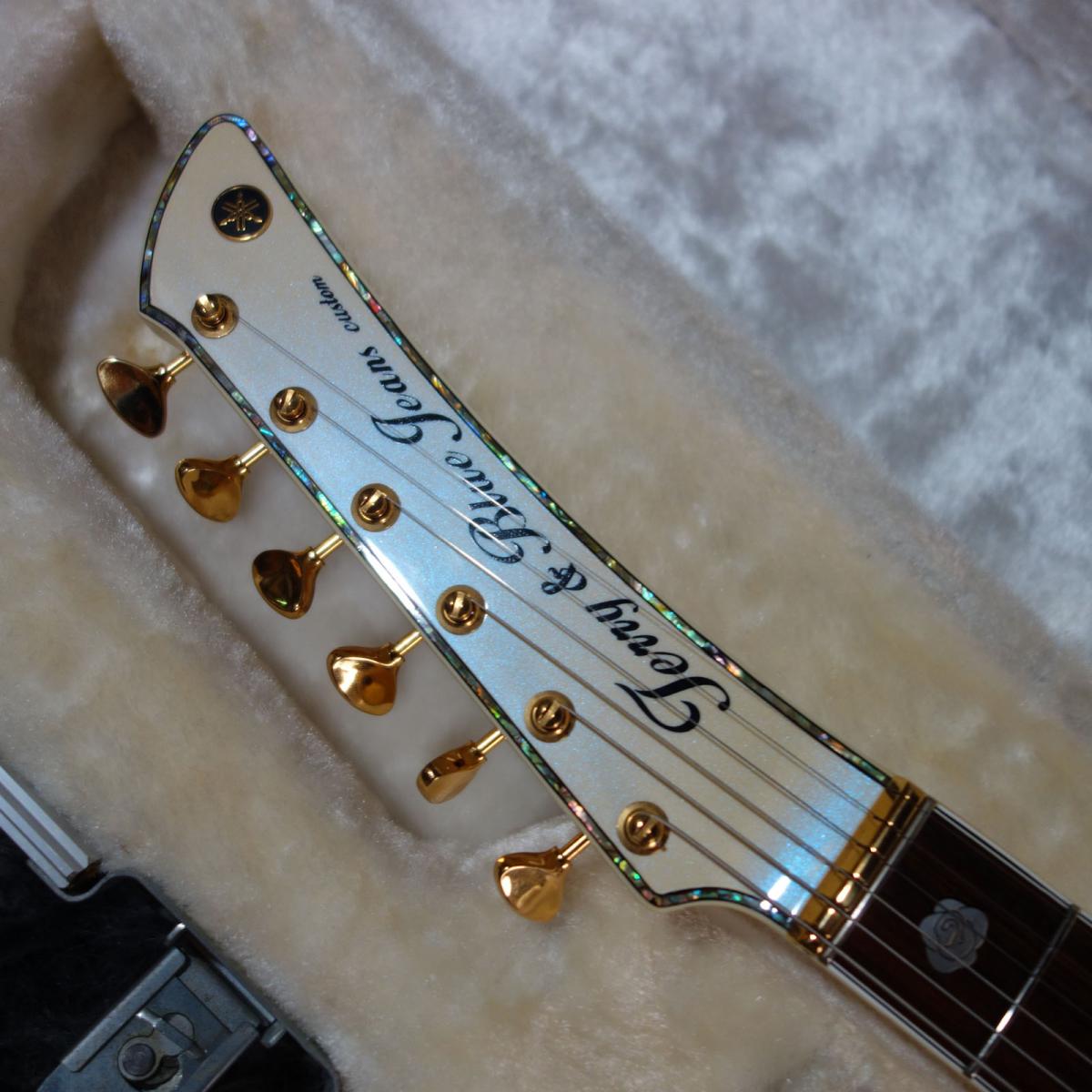 YAMAHA TBJ-CST ボディ裏面のプレート YAMAHA TBJ-CST ボディ裏面のプレート YAMAHATBJ-CST Terry & Blue