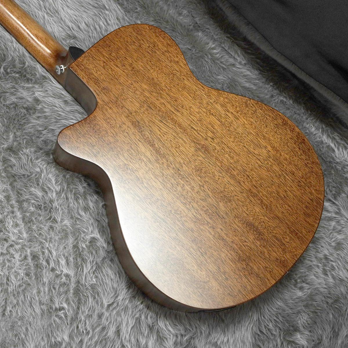 Amazon.com: Ibanez AEG200 Acoustic-Electric Guitar - Natural