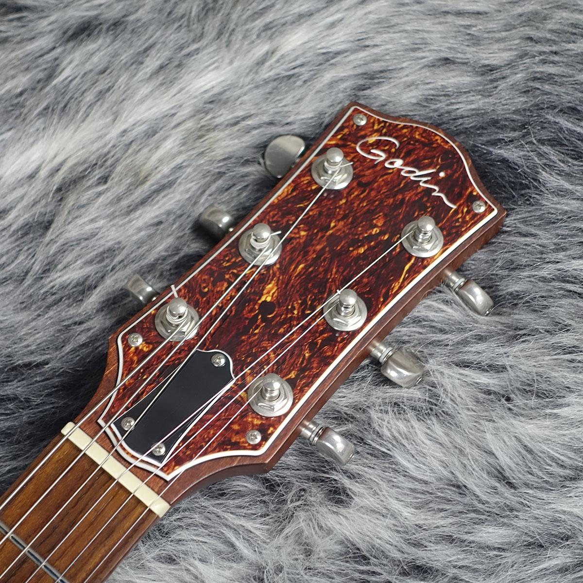 Godin Radiator <ゴダン>｜平野楽器 ロッキン オンラインストア