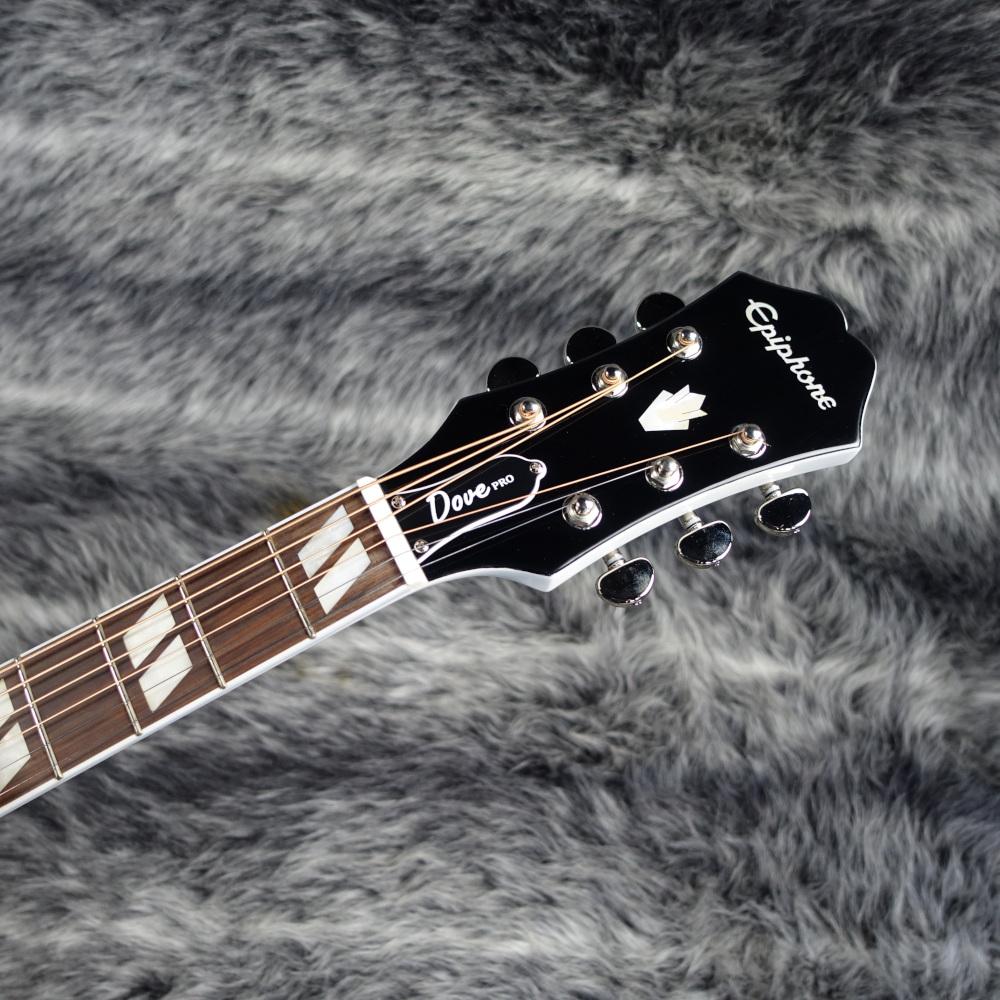ギター Epiphone Dove Pro Epiphone Dove Studio – United States