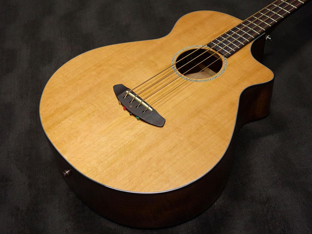 Breedlove Oregon OM/SMYe|ドルフィンギターズ