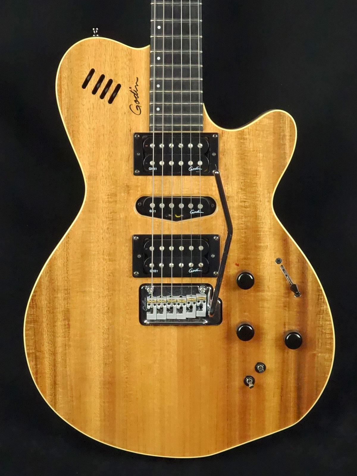 Godin xtSA KOA ＆ Roland GR-55 ”ギターシンセサイザーセット