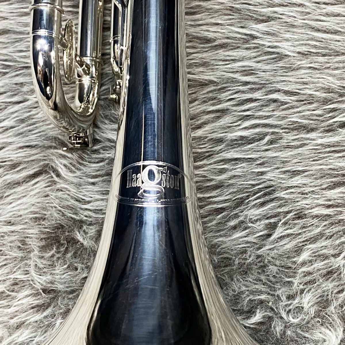 Haagston US-10-S【中古整備済】 <ハーグストン>｜平野楽器