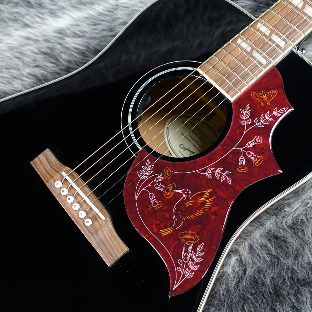Epiphone Hummingbird Pro Ebony <エピフォン>｜平野楽器