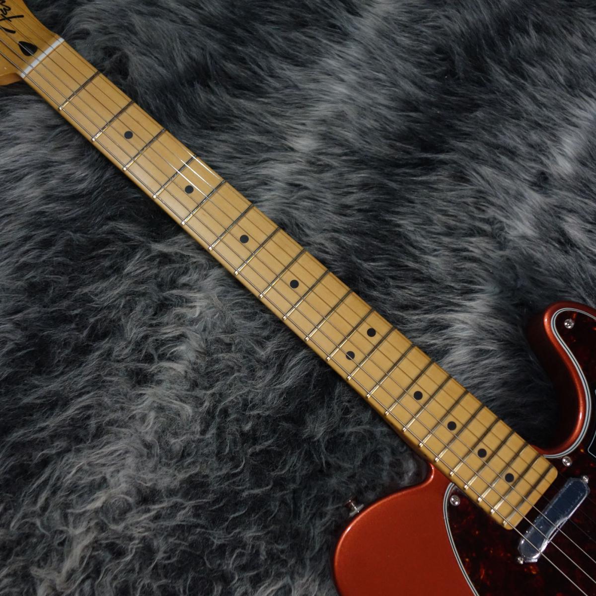 FENDER MEXICO (フェンダーメキシコ) エレキギター Player