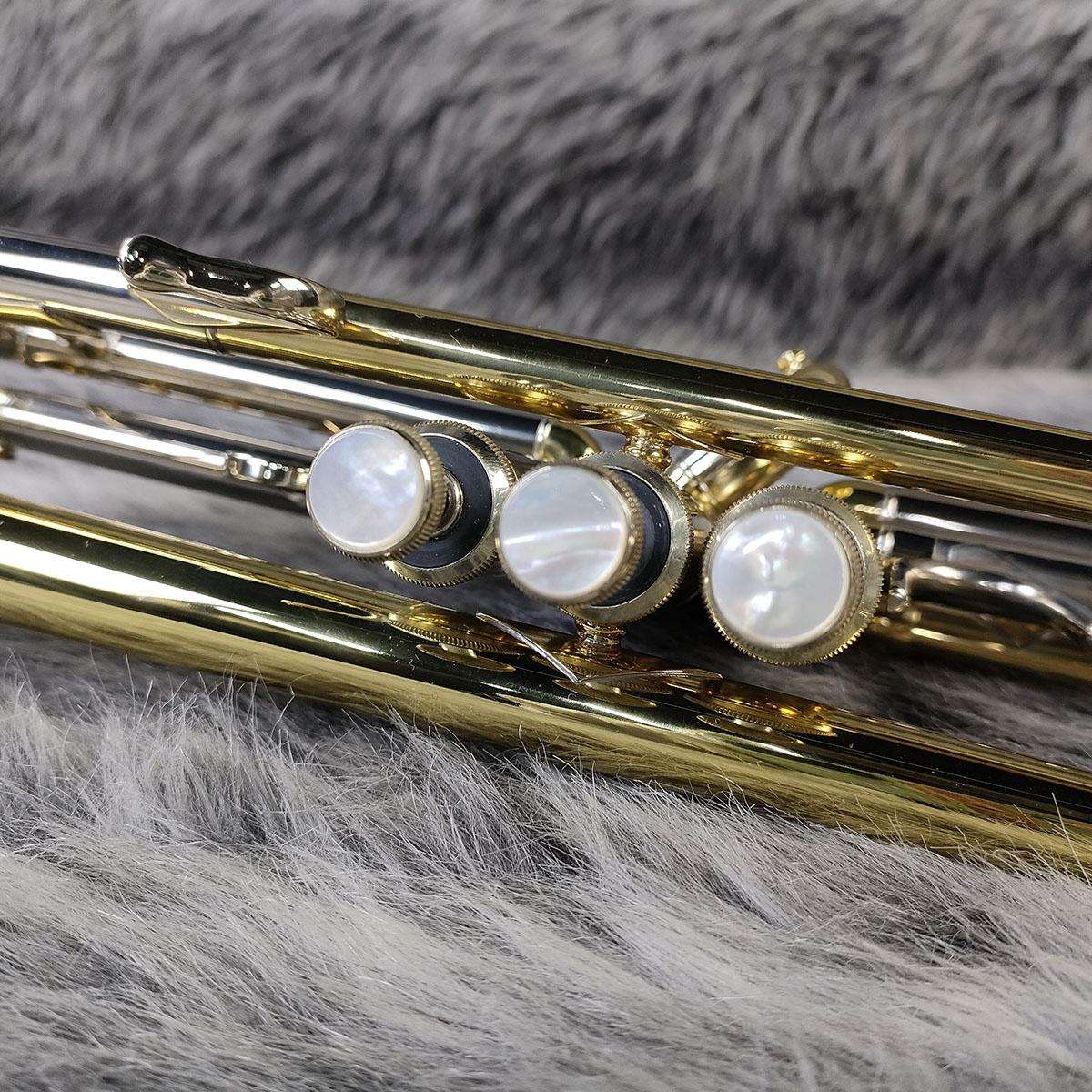 Bach Strad 180S37 Trumpet - Versatile Professional Brass