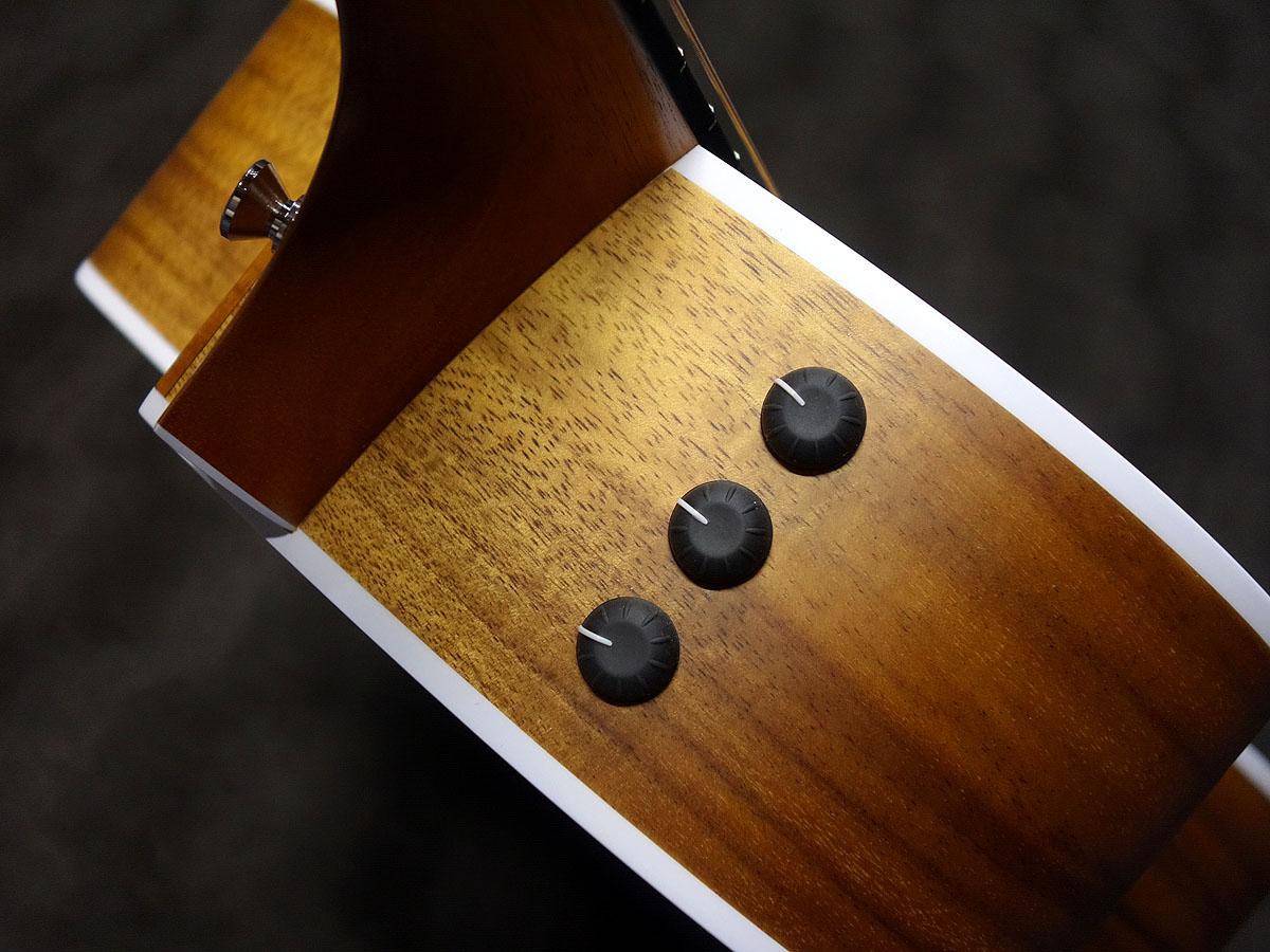 Taylor 214ce-KOA ES2 2017 <テイラー>|平野楽器 ロッキン オンラインストア