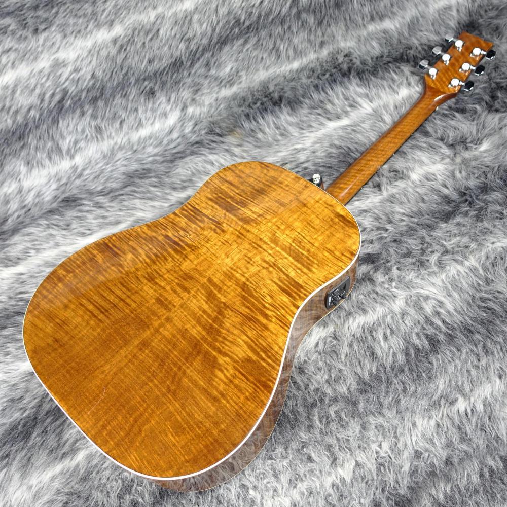 【値下❗️】モリス Morris アコースティックギター◎ MORRIS S-86II モーリス ｜イケベ楽器店オンラインストア