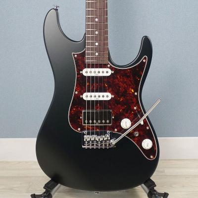 ❤️弦高調整済！「Ibanez アイバニーズ PF15TV」わんぱく打傷ギター Ibanez (アイバニーズ)｜平野楽器 ロッキン オンラインストア