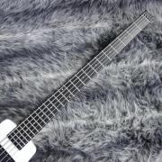 imageResizer?w=180&q=5&file=/