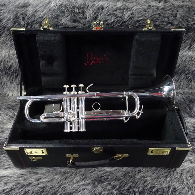 管楽器・吹奏楽器 Bach Vincent SP バック Bbトランペット Vincent（ヴィンセント）SP | 管楽器