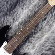 Fender Japan ST-CHAMP Black <フェンダージャパン>｜平野楽器
