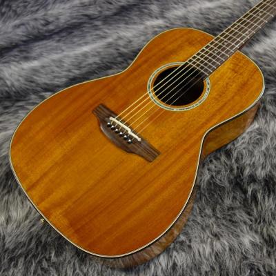 TAKAMINE (タカミネ)｜平野楽器 ロッキン オンラインストア