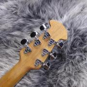 ovation オベーションギター アプローズ　AE248 Applause by OVATION (アプローズバイオベーション)AE 248 2715635