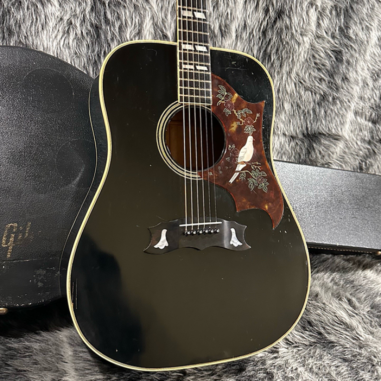 Gibson DOVE 1977 <ギブソン>｜平野楽器 ロッキン オンラインストア