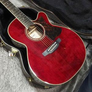 Takamine[タカミネ]｜平野楽器 ロッキン オンラインストア
