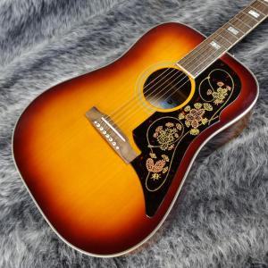 Epiphone[エピフォン] エレアコ｜平野楽器 ロッキン オンラインストア