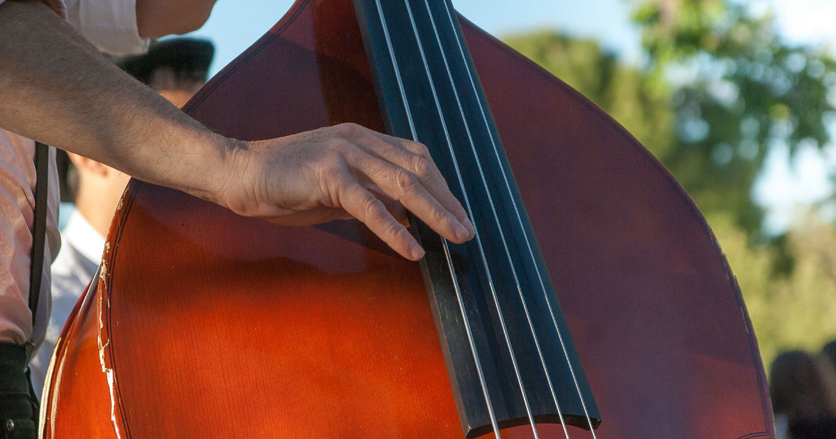 ウッドベース/コントラバス教室 – 岐阜店 – ロッキン 中部地区最大級の